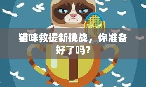 貓咪救援新挑戰(zhàn)，你準備好了嗎？