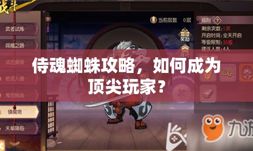 侍魂蜘蛛攻略，如何成為頂尖玩家？