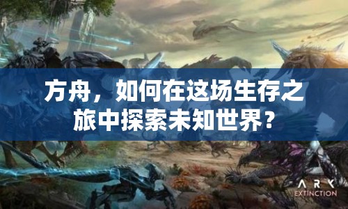 方舟，如何在這場生存之旅中探索未知世界？