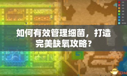 如何有效管理細(xì)菌，打造完美缺氧攻略？