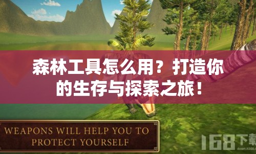 森林工具怎么用？打造你的生存與探索之旅！