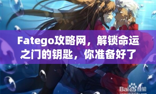 Fatego攻略網(wǎng)，解鎖命運之門的鑰匙，你準備好了嗎？