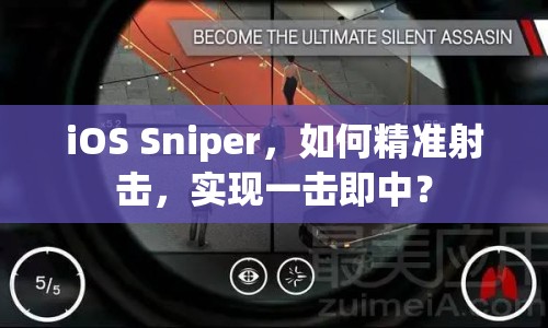 iOS Sniper，如何精準(zhǔn)射擊，實現(xiàn)一擊即中？