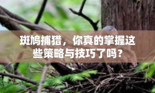 斑鳩捕獵，你真的掌握這些策略與技巧了嗎？