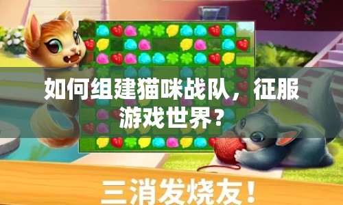 如何組建貓咪戰(zhàn)隊，征服游戲世界？