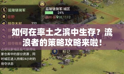 如何在率土之濱中生存？流浪者的策略攻略來啦！