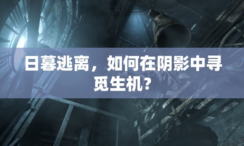 日暮逃離，如何在陰影中尋覓生機(jī)？