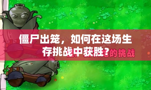 僵尸出籠，如何在這場生存挑戰(zhàn)中獲勝？