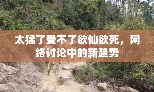 太猛了受不了欲仙欲死，網(wǎng)絡(luò)討論中的新趨勢(shì)