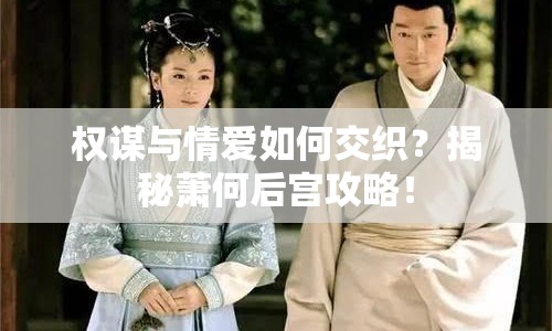 權(quán)謀與情愛如何交織？揭秘蕭何后宮攻略！