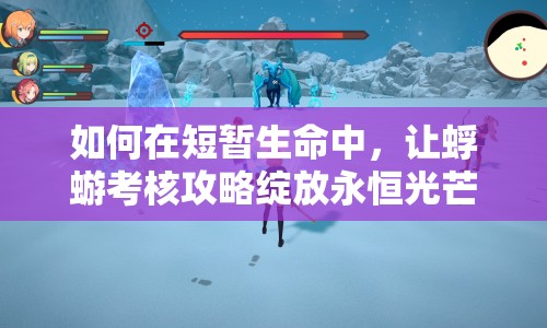 如何在短暫生命中，讓蜉蝣考核攻略綻放永恒光芒？