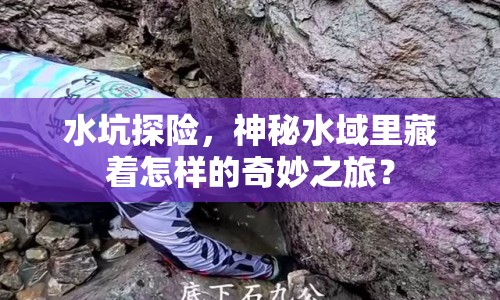 水坑探險，神秘水域里藏著怎樣的奇妙之旅？
