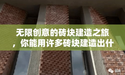 無限創(chuàng)意的磚塊建造之旅，你能用許多磚塊建造出什么？
