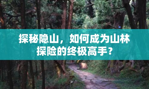 探秘隱山，如何成為山林探險(xiǎn)的終極高手？
