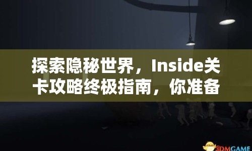 探索隱秘世界，Inside關(guān)卡攻略終極指南，你準(zhǔn)備好了嗎？