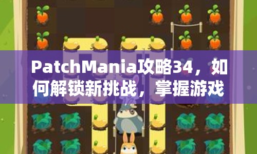 PatchMania攻略34，如何解鎖新挑戰(zhàn)，掌握游戲精髓？