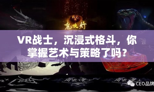 VR戰(zhàn)士，沉浸式格斗，你掌握藝術(shù)與策略了嗎？