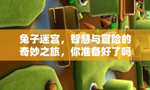 兔子迷宮，智慧與冒險的奇妙之旅，你準備好了嗎？