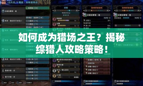 如何成為獵場(chǎng)之王？揭秘綜獵人攻略策略！