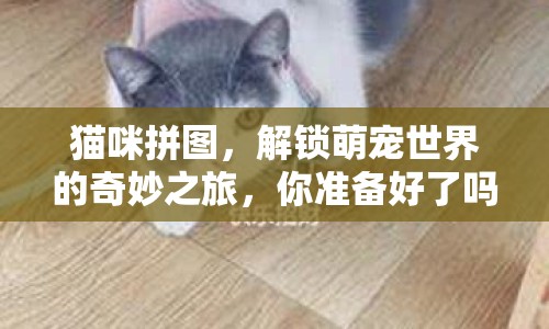貓咪拼圖，解鎖萌寵世界的奇妙之旅，你準(zhǔn)備好了嗎？