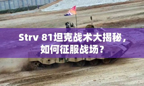 Strv 81坦克戰(zhàn)術(shù)大揭秘，如何征服戰(zhàn)場？