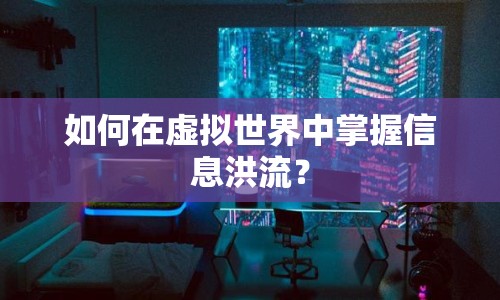 如何在虛擬世界中掌握信息洪流？