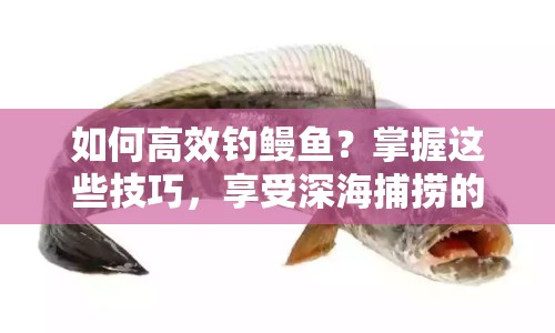 如何高效釣鰻魚？掌握這些技巧，享受深海捕撈的樂趣！