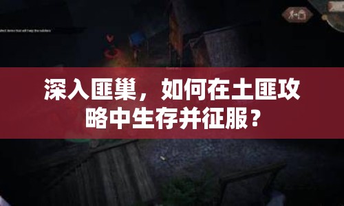 深入匪巢，如何在土匪攻略中生存并征服？