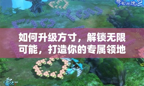 如何升級方寸，解鎖無限可能，打造你的專屬領(lǐng)地？