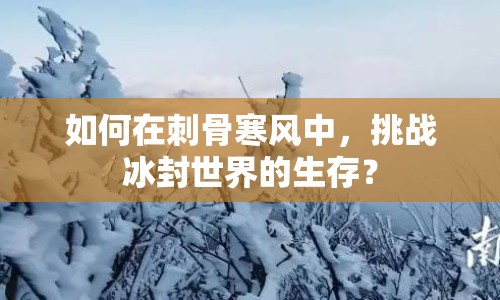 如何在刺骨寒風中，挑戰(zhàn)冰封世界的生存？