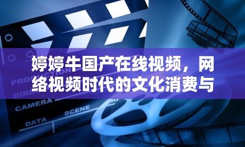 婷婷牛國產(chǎn)在線視頻，網(wǎng)絡(luò)視頻時代的文化消費(fèi)與審美探討