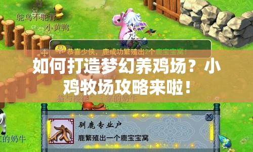 如何打造夢(mèng)幻養(yǎng)雞場(chǎng)？小雞牧場(chǎng)攻略來(lái)啦！