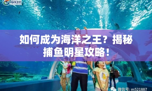 如何成為海洋之王？揭秘捕魚明星攻略！