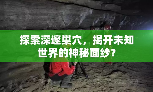 探索深邃巢穴，揭開未知世界的神秘面紗？