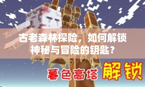 古老森林探險，如何解鎖神秘與冒險的鑰匙？