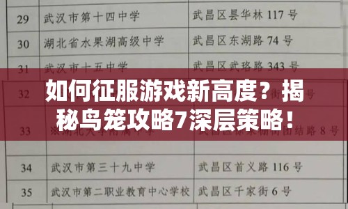 如何征服游戲新高度？揭秘鳥(niǎo)籠攻略7深層策略！