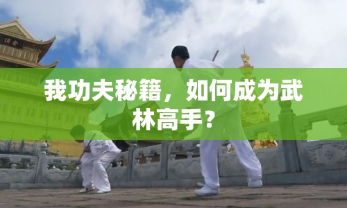 我功夫秘籍，如何成為武林高手？