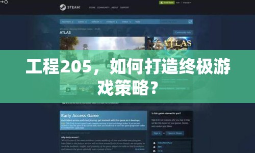 工程205，如何打造終極游戲策略？