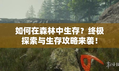 如何在森林中生存？終極探索與生存攻略來(lái)襲！