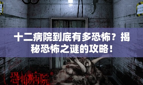 十二病院到底有多恐怖？揭秘恐怖之謎的攻略！