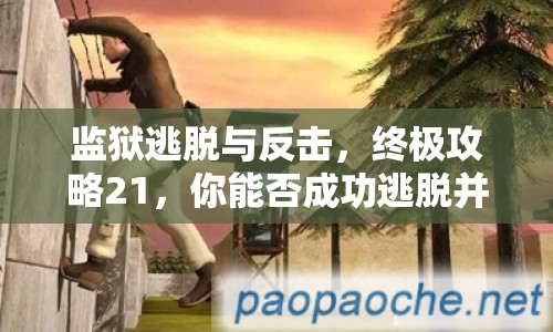 監(jiān)獄逃脫與反擊，終極攻略21，你能否成功逃脫并反擊？
