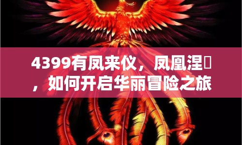 4399有鳳來儀，鳳凰涅槃，如何開啟華麗冒險之旅？