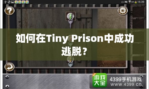 如何在Tiny Prison中成功逃脫？