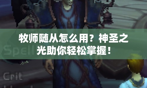 牧師隨從怎么用？神圣之光助你輕松掌握！