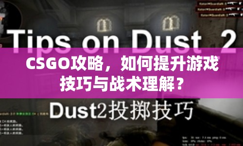 CSGO攻略，如何提升游戲技巧與戰(zhàn)術(shù)理解？