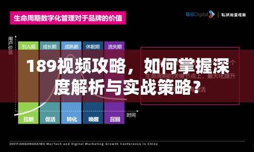 189視頻攻略，如何掌握深度解析與實戰(zhàn)策略？