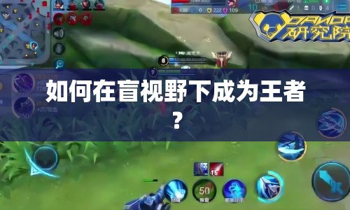 如何在盲視野下成為王者？