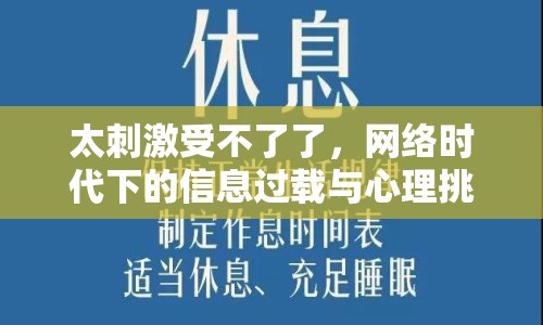 太刺激受不了了，網(wǎng)絡(luò)時代下的信息過載與心理挑戰(zhàn)