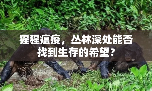猩猩瘟疫，叢林深處能否找到生存的希望？