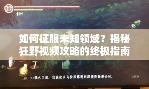 如何征服未知領(lǐng)域？揭秘狂野視頻攻略的終極指南！